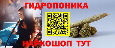 соль ск Дубна