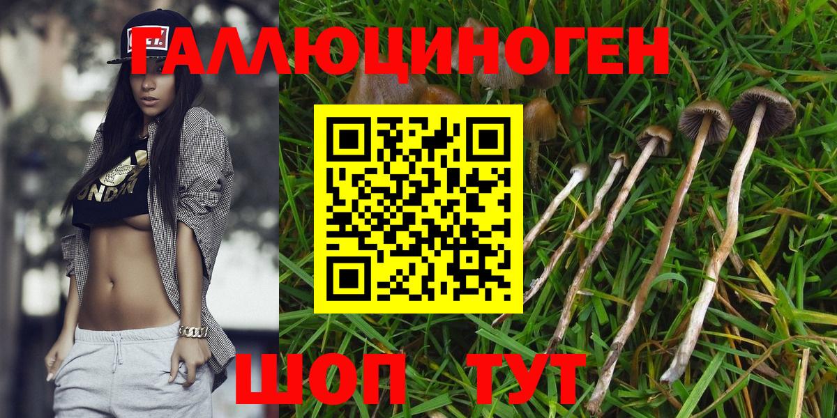 Псилоцибиновые грибы ЛСД Миасс
