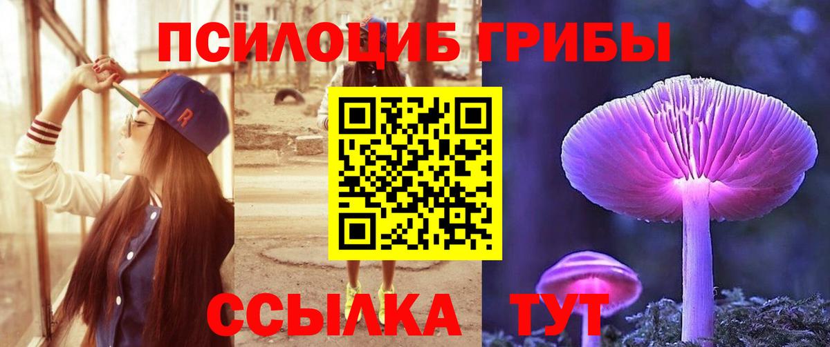 Миасс  Псилоцибиновые грибы Psilocybe  Вход с VPN 